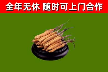 昆玉烟酒回收冬虫夏草.jpg